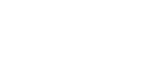 intellnet
