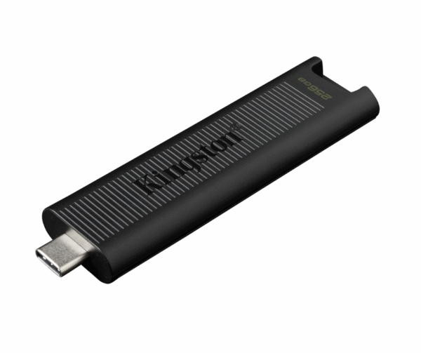 Pen Drive Kingston 256 gb Dtmax Usb-c